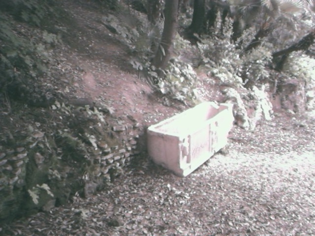 Area 6262: l'esterno dell'area recintata dove si trova la necropoli-particolare di un sarcofago