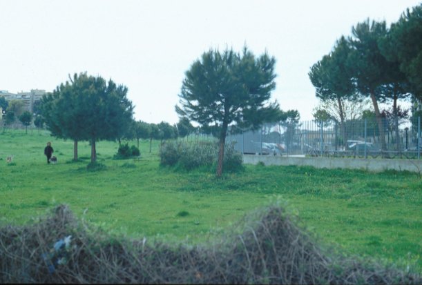 Area 1014: il terreno dove la Carta dell'Agro segnala la presenza di un'area di frammenti fittili, oggi non più esistenti