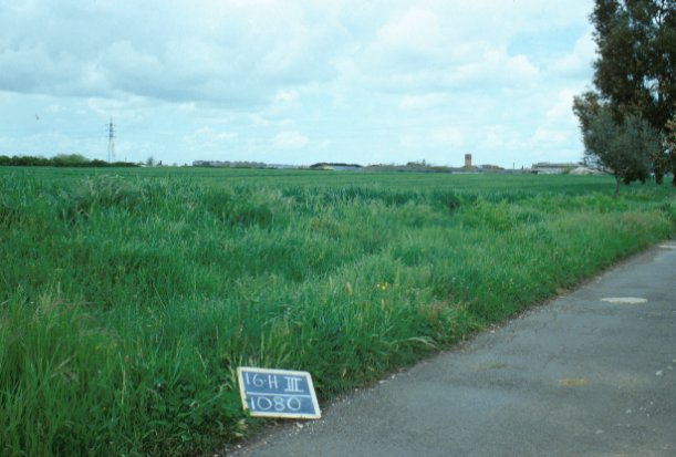 Area 1080: il campo coltivato sul quale dovrebbe insistere l'area di frammenti