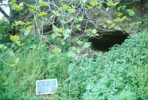 Area 1095: l'ingresso della grotta