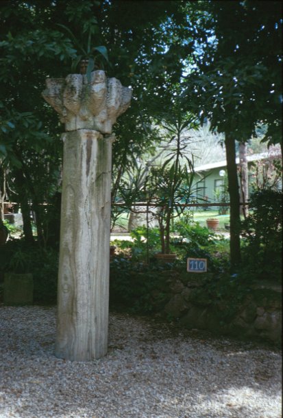 Area 110: una delle colonne in marmo cipollino presenti nel giardino