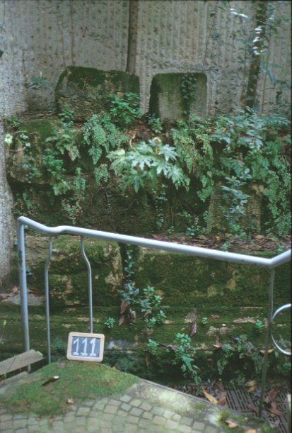 Area 111: la scala di accesso al vano moderno dove sono conservati i resti del mausoleo