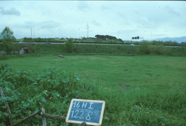 Area 1228: il terreno dove la Carta dell'Agro segnala la presenza di una villa e di una necropoli, vista da O