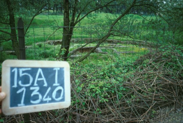 Area 1340: il sepolcro A visto dall'esterno della recinzione