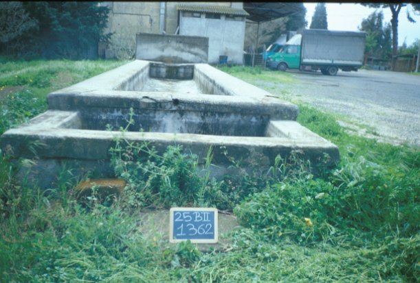 Area 1362: particolare del fontanile