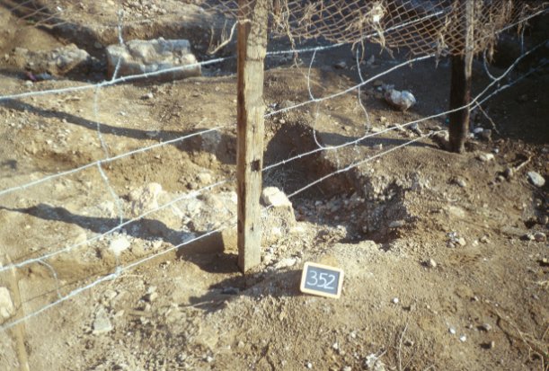 Area 352: particolare dell'area di scavo