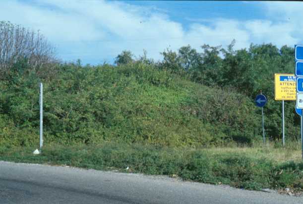 Area 3804: il terreno dove la Carta dell'Agro segnala la presenza di resti di strutture murarie