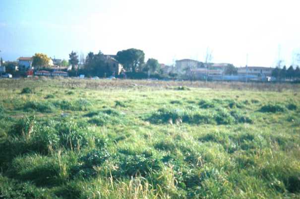 Area 4073: il campo lungo via M. Simone