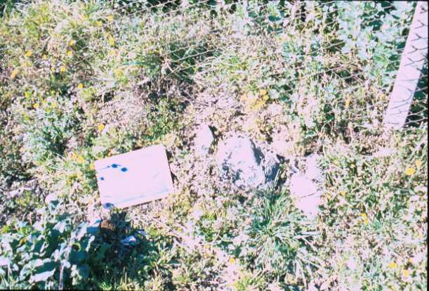 Area 4420: i frammenti di basoli su via Valle Caia