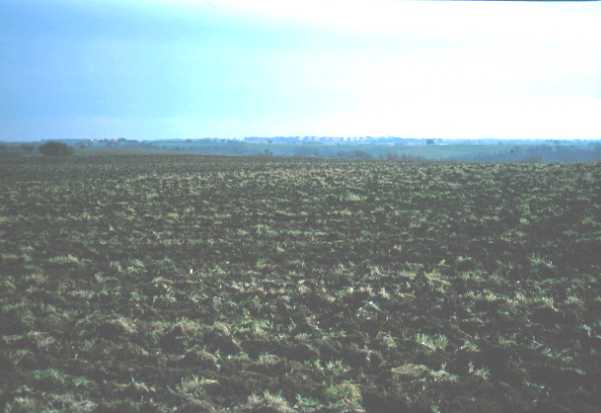 Area 4501: il terreno dove la Carta dell'Agro segnala la presenza di frammenti fittili