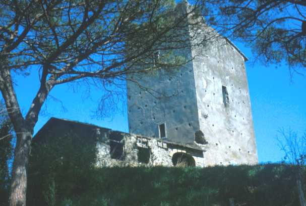 Area 4629: la torre