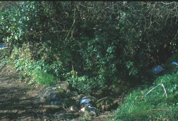 Area 4631: i resti nel terreno lungo via di Porta Medaglia