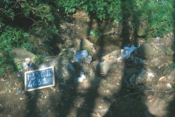 Area 4631: i resti nel terreno lungo via di Porta Medaglia