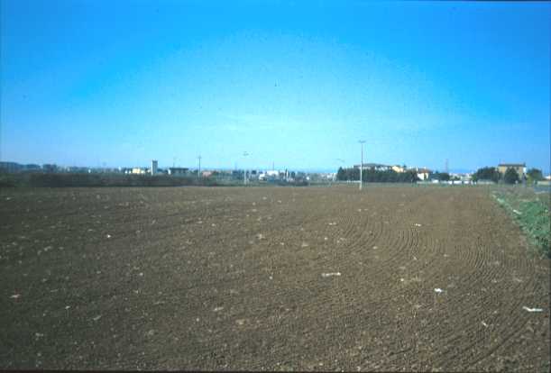 Area 4678: il terreno dove insistono i frammenti fittili