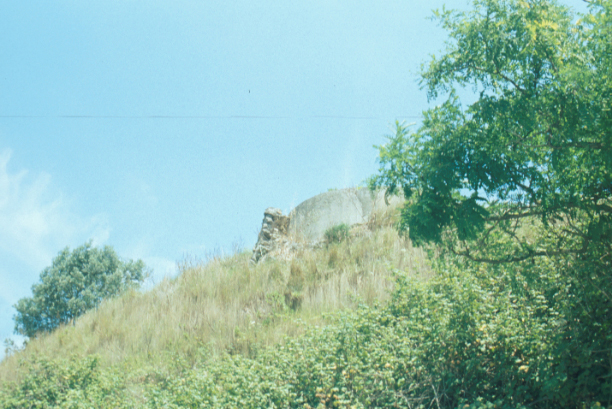 Area 5032: la torre vista da via Portuense