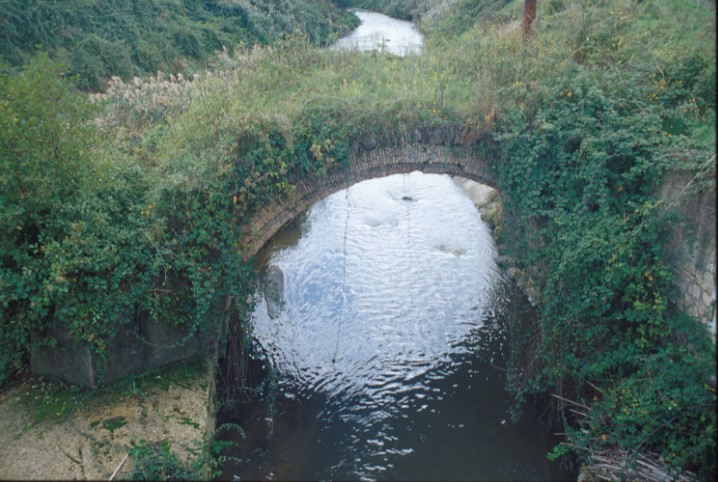 Area 5251: il ponte di età romana sull'Arrone