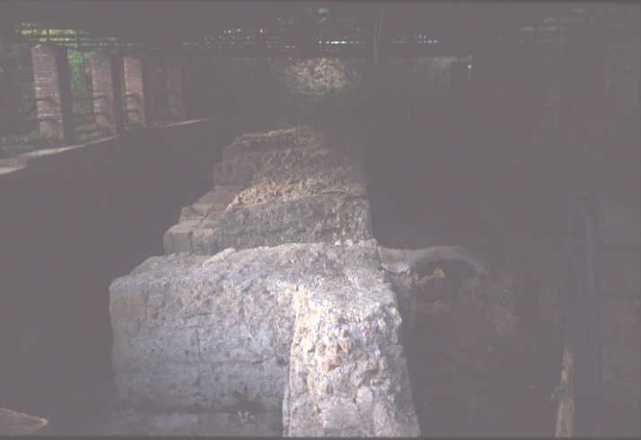 Area 5608: i resti delle strutture murarie in opera laterizia e blocchetti di tufo nell'area retrostante S.Balbina