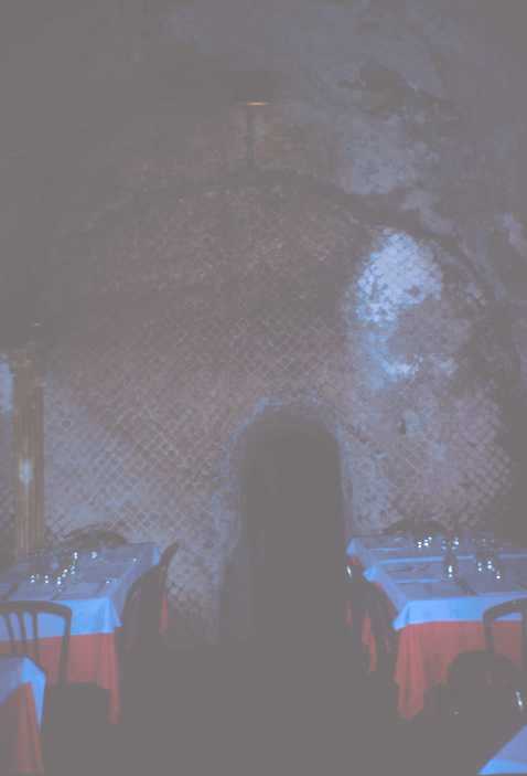 Area 5635: i resti del Teatro di Pompeo visibili all'interno del ristorante 'Pancrazio'