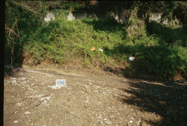 Area 62: il terreno all'interno del parco di Monte Mario dove la Carta dell'Agro segnala la presenza delle tracce di una villa romana