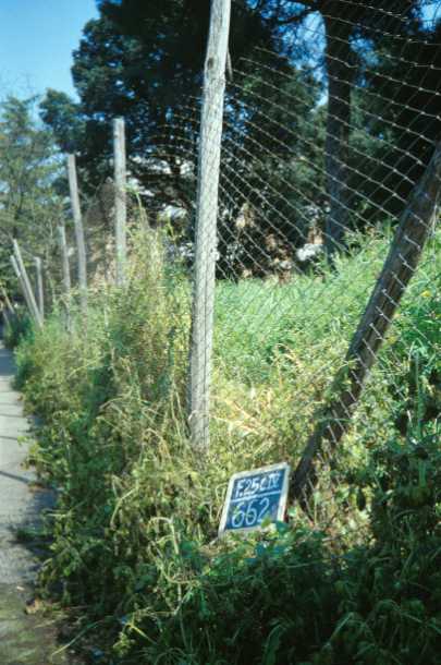 Area 662: la recinzione dell'area lungo via Sestio Calvino