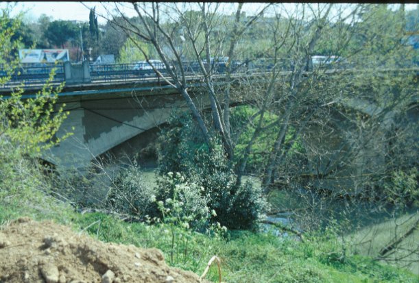 Area 775: Ponte Salario, particolare