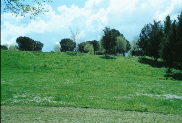 Area 786: il parco dove, secondo le segnalazioni della Carta dell'Agro, doveva sorgere una necropoli