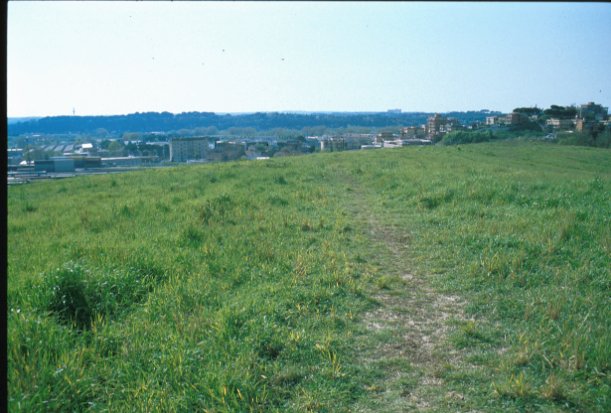 Area 791: i terreni dove la Carta dell'Agro segnala la presenza di tracce di una villa di epoca romana