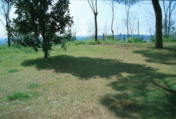 Area 797: il parco giochi che sorge nel punto in cui   la Carta dell'Agro segnala la presenza di un'area di frammenti fittili