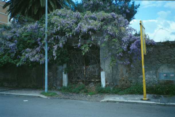 Area 968: l'ingresso alla proprietà dove la Carta dell'Agro segnala resti di muratura