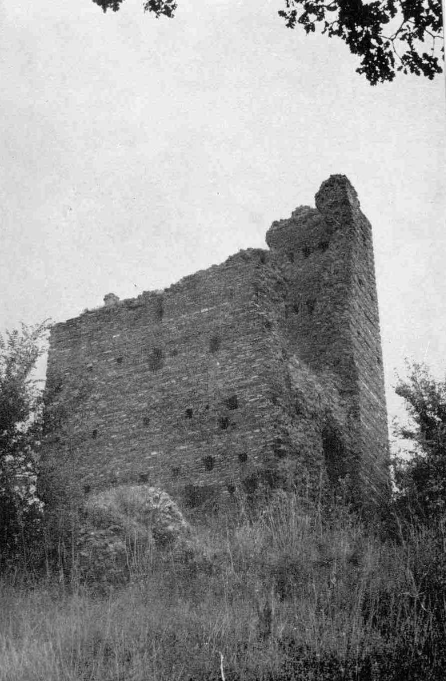 Torre del Procoio Nuovo (De Rossi 1969, f.291)