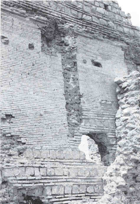 Tor Spaccata: particolare della parete nord-orientale del colombario romano (Quilici 1974, p.766, f.1748)