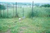 Area 2003: la recinzione posta lungo via del Fiume giallo