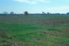 Area 3835: il terreno dove la Carta dell'Agro segnala la presenza di frammenti fittili