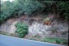 Area 3914: i resti di muratura visti dal via Anagnina