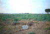 Area 4004: il terreno dove la Carta dell'Agro segnala la presenza di un tratto basolato